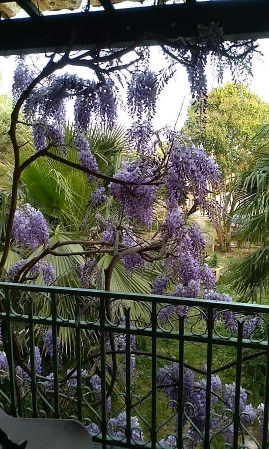La Maison Botanique Кастийон-ла-Батай Экстерьер фото
